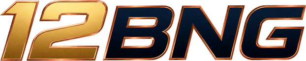 12bng লোগো